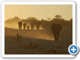My Etosha 