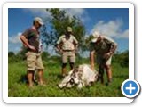 game tracking in Africa
