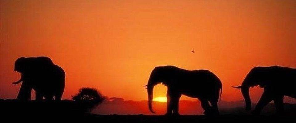 Budget small group lodge safaris in Namibia