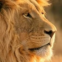 Safe affordable Namibia travel for small private groups